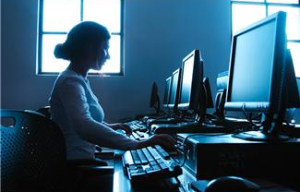 Database Developer Programmer